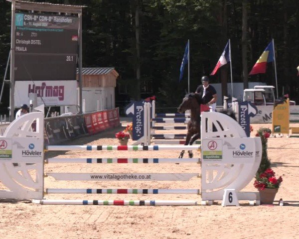 Reitturnier Ranshofen - Braunau am Inn 2024