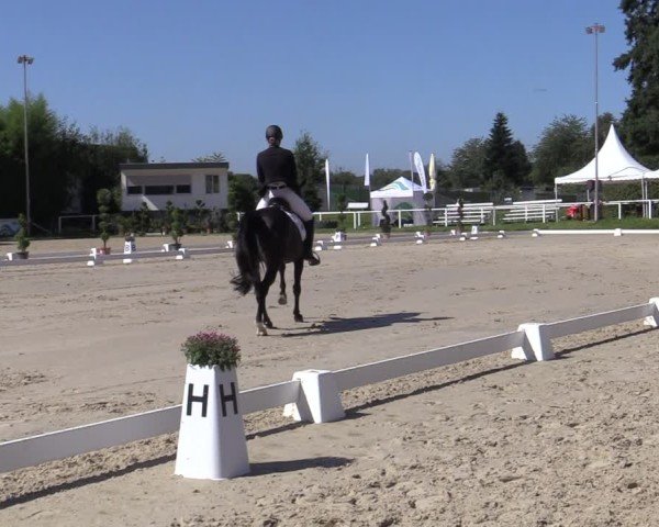 Reitturnier Bergisch Gladbach - Hebborner Hof 2024