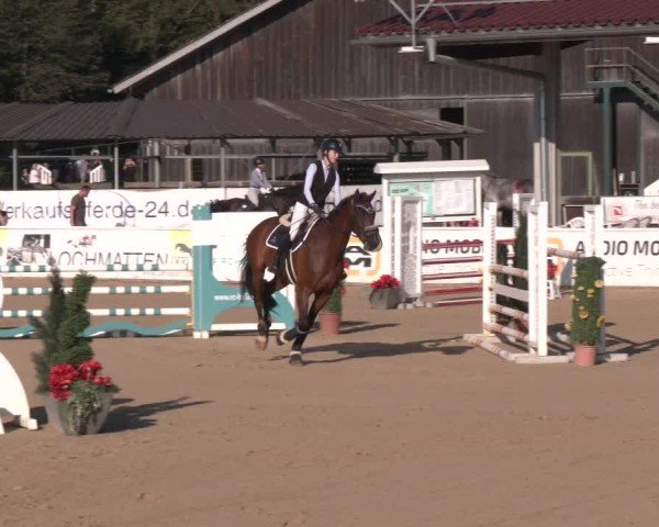 Reitturnier Ranshofen - Braunau am Inn 2024