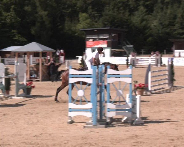 Reitturnier Ranshofen - Braunau am Inn 2024