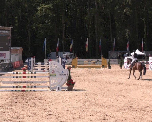 Reitturnier Ranshofen - Braunau am Inn 2024