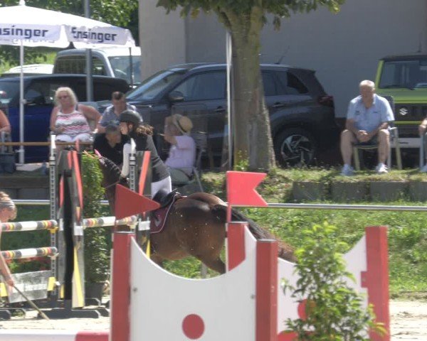 Reitturnier Oberderdingen 2024