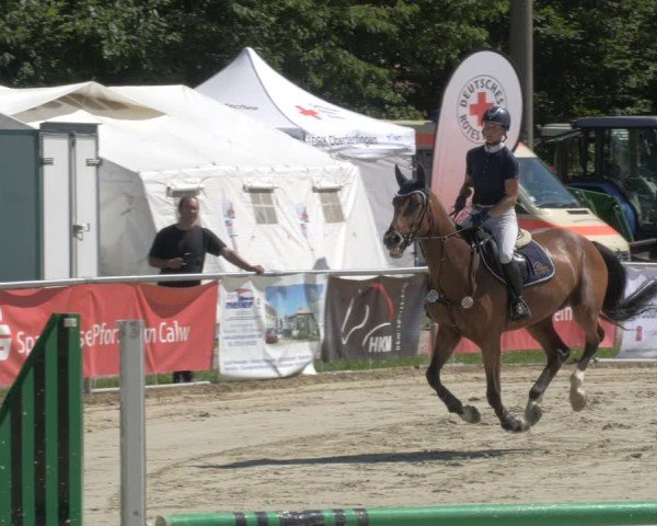 Reitturnier Oberderdingen 2024