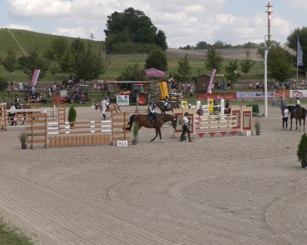Reitturnier Halle - Seeben 2024