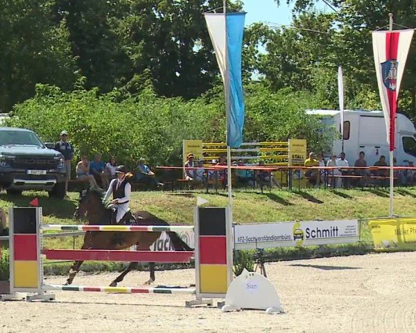 Reitturnier Grafenrheinfeld/Ufr. 2024