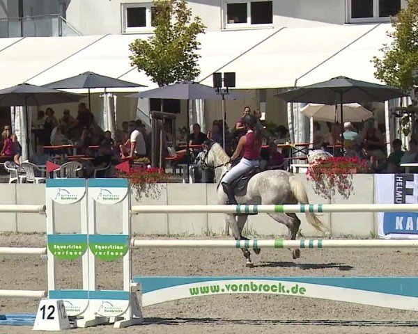 Reitturnier Grafenrheinfeld/Ufr. 2024