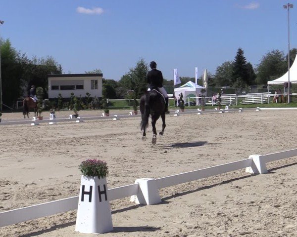 Reitturnier Bergisch Gladbach - Hebborner Hof 2024