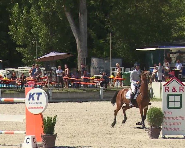 Reitturnier Grafenrheinfeld/Ufr. 2024
