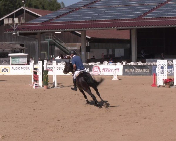 Reitturnier Ranshofen - Braunau am Inn 2024