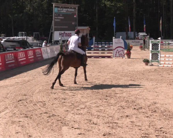 Reitturnier Ranshofen - Braunau am Inn 2024