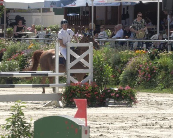 Reitturnier Oberderdingen 2024