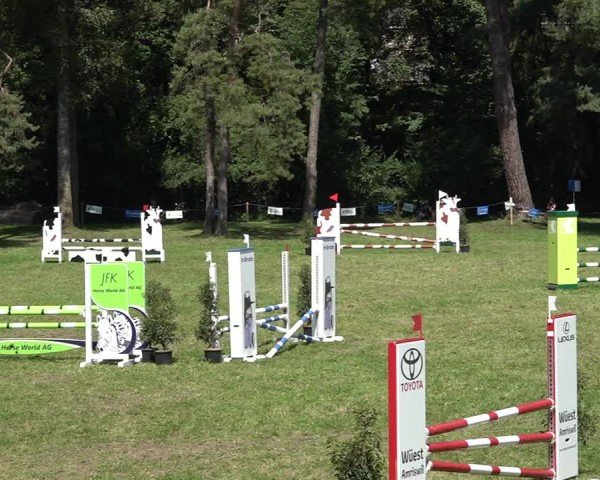 Reitturnier Sulgen 2024