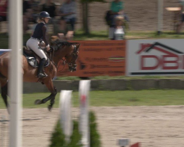 Reitturnier Halle - Seeben 2024
