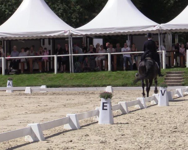 Reitturnier Bergisch Gladbach - Hebborner Hof 2024