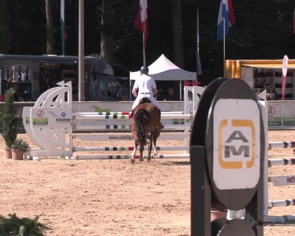 Reitturnier Ranshofen - Braunau am Inn 2024