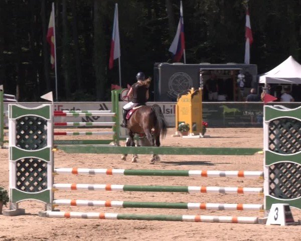 Reitturnier Ranshofen - Braunau am Inn 2024