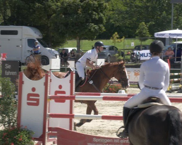Reitturnier Oberderdingen 2024