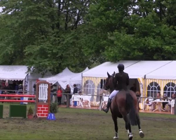 Halle-Tatenhausen Schloßturnier 2013