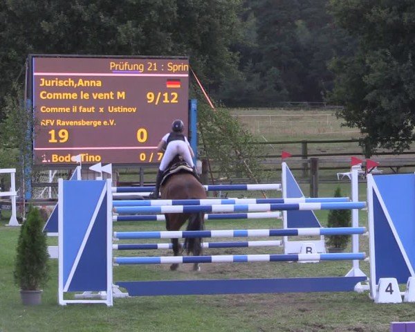 Reitturnier Niemegk / Neuendorf 2024