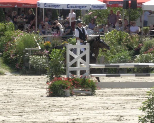 Reitturnier Oberderdingen 2024