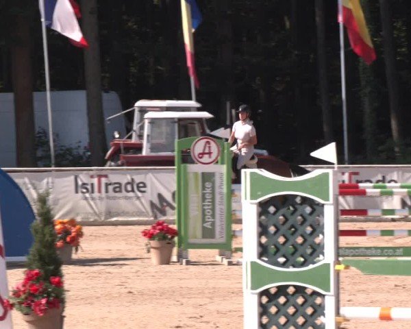 Reitturnier Ranshofen - Braunau am Inn 2024