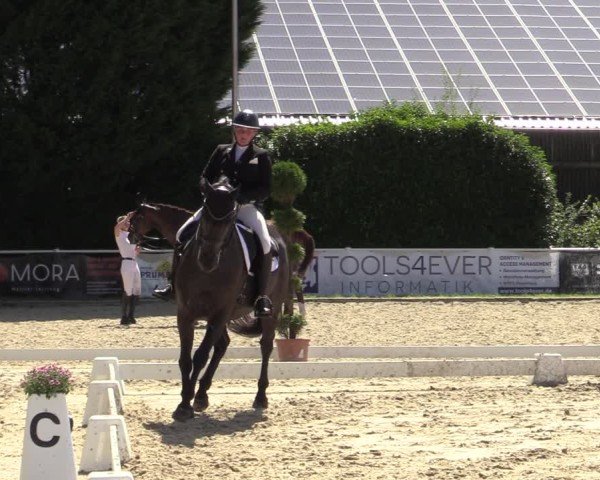 Reitturnier Bergisch Gladbach - Hebborner Hof 2024
