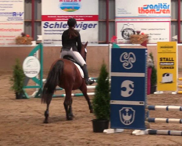 Reitturnier Behrendorf 2021