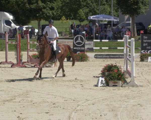 Reitturnier Oberderdingen 2024