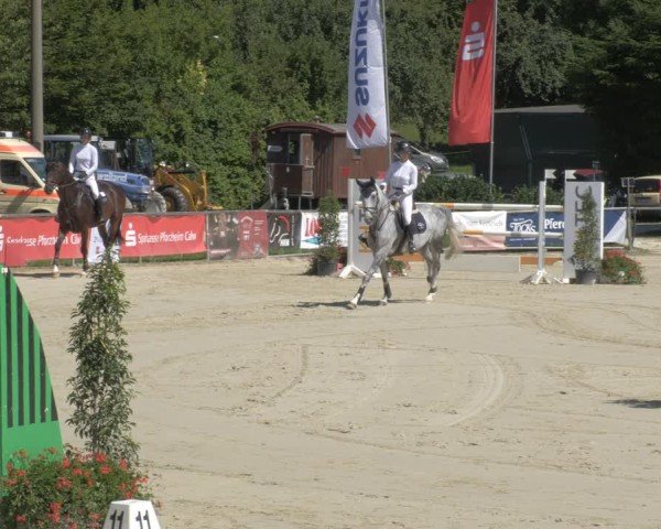 Reitturnier Oberderdingen 2024