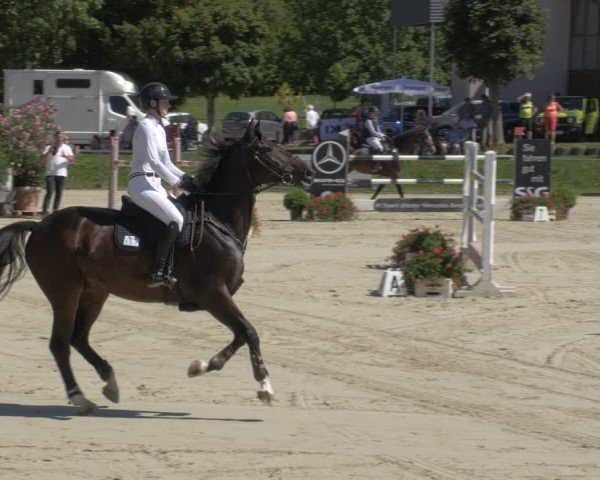 Reitturnier Oberderdingen 2024