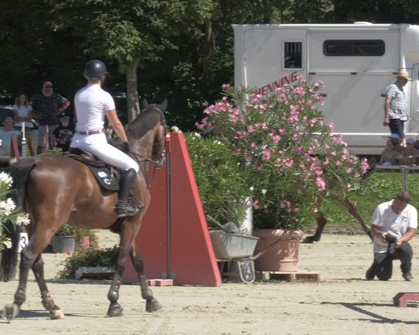 Reitturnier Oberderdingen 2024