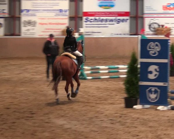 Reitturnier Behrendorf 2021