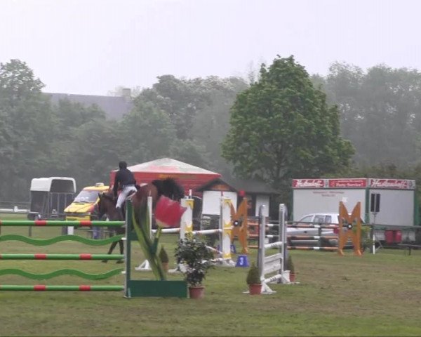 Halle-Tatenhausen Schloßturnier 2013