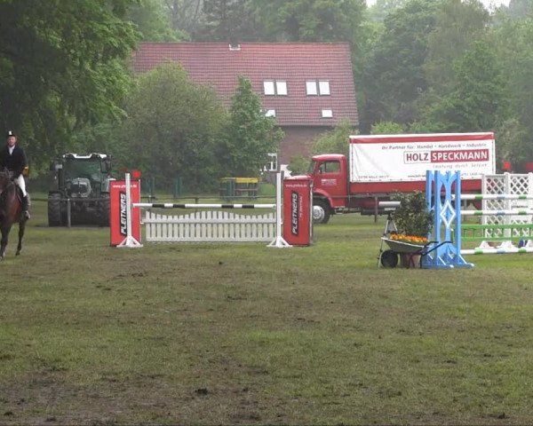 Halle-Tatenhausen Schloßturnier 2013