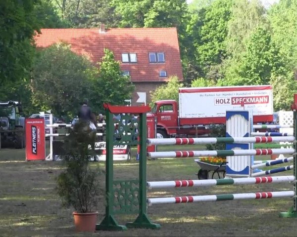 Halle-Tatenhausen Schloßturnier 2013