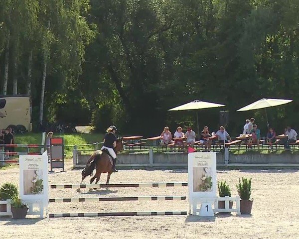 Reitturnier Grafenrheinfeld/Ufr. 2024