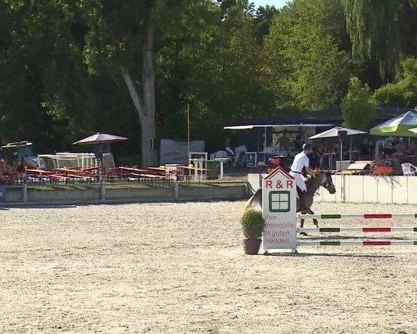 Reitturnier Grafenrheinfeld/Ufr. 2024