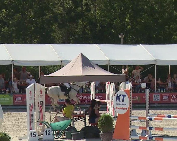 Reitturnier Grafenrheinfeld/Ufr. 2024