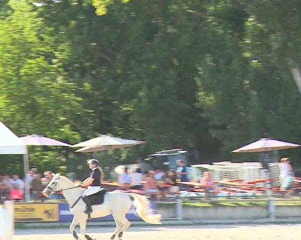 Reitturnier Grafenrheinfeld/Ufr. 2024