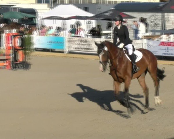 Reitturnier Sauldorf-Boll 2024