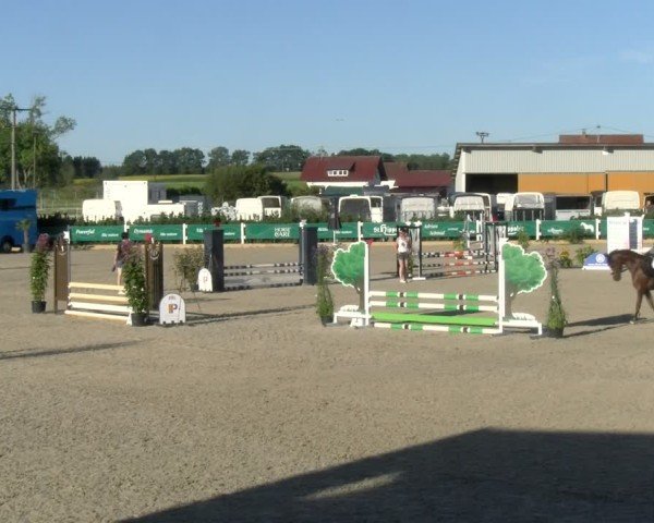 Reitturnier Sauldorf-Boll 2024