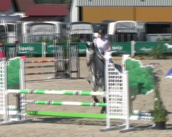 Reitturnier Sauldorf-Boll 2024