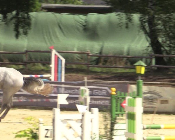 Reitturnier Vellinghausen 2024