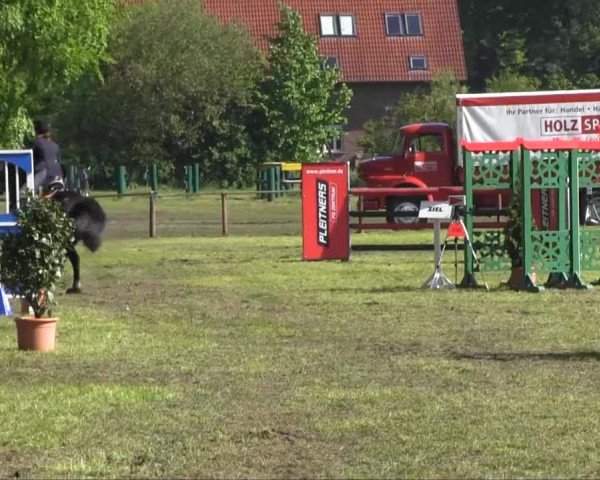 Halle-Tatenhausen Schloßturnier 2013