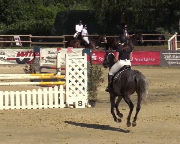 Reitturnier Vellinghausen 2024