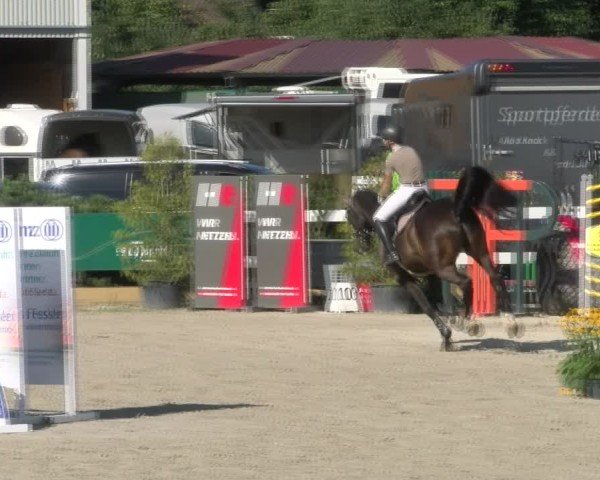 Reitturnier Sauldorf-Boll 2024