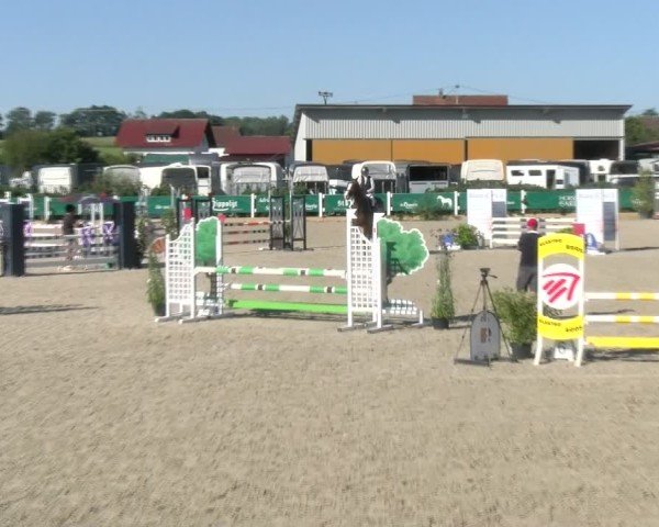 Reitturnier Sauldorf-Boll 2024