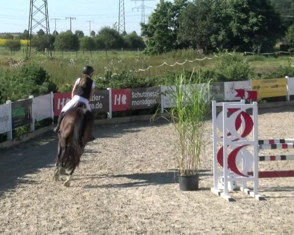 Reitturnier Sauldorf-Boll 2024