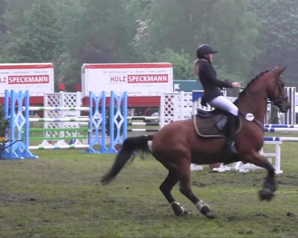 Halle-Tatenhausen Schloßturnier 2013