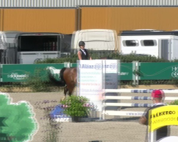 Reitturnier Sauldorf-Boll 2024